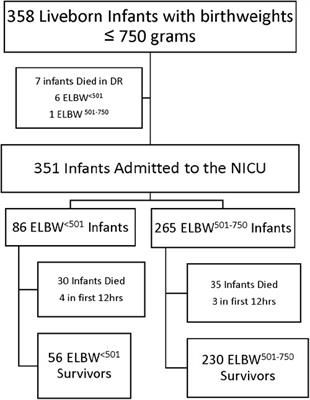 Outcomes of infants with birthweights less than 501 g compared to infants weighing 501–750 g at a center utilizing first intention high frequency jet ventilation